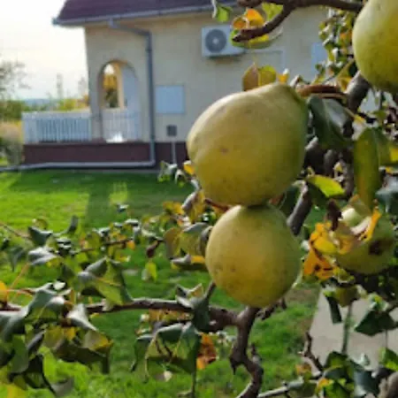 Hutiagi Holiday home *