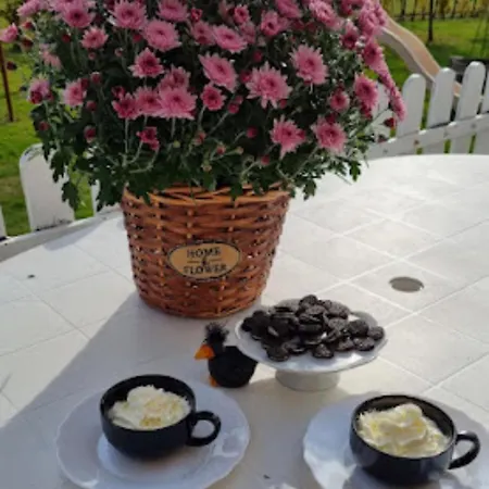 Hutiagi Holiday home Siofok