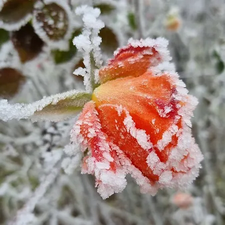 Hutiagi Holiday home Siofok