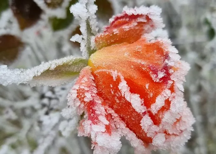 Hutiagi 別荘 シオーフォク