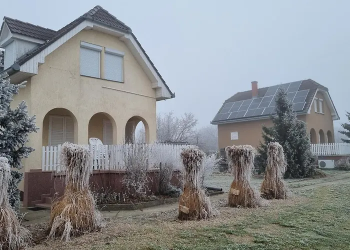 Hutiagi Holiday home Siofok